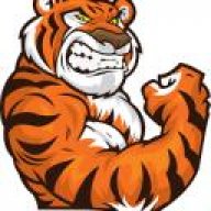 TigerHunter