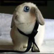 RabbitRause
