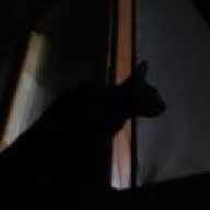 midnighte