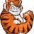 TigerHunter