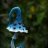 Fungi